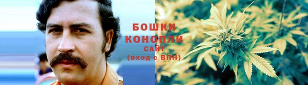 альфа пвп Медвежьегорск