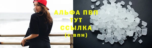 альфа пвп Медвежьегорск